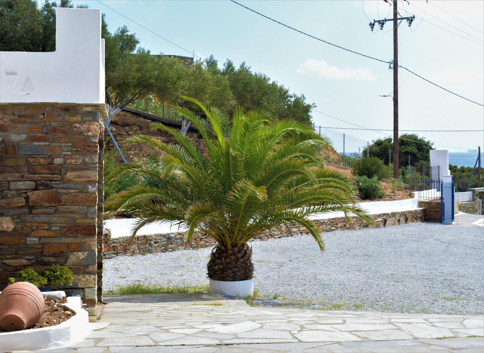 Villa Maniati Studios Áyios Pétros Exterior foto